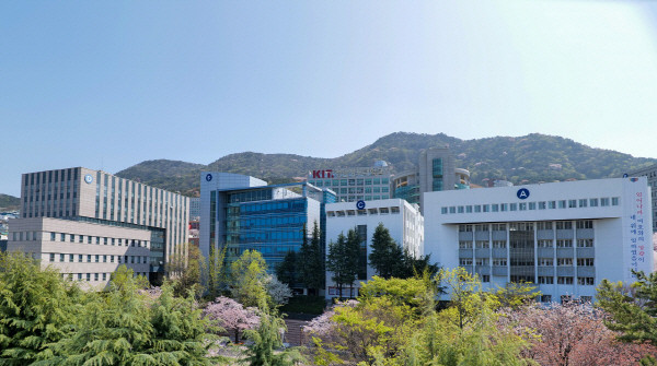 2024韩国留学费用一览表：首尔VS地方大学真实开销对比